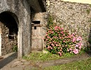 Part of the garden Apartment Armonia